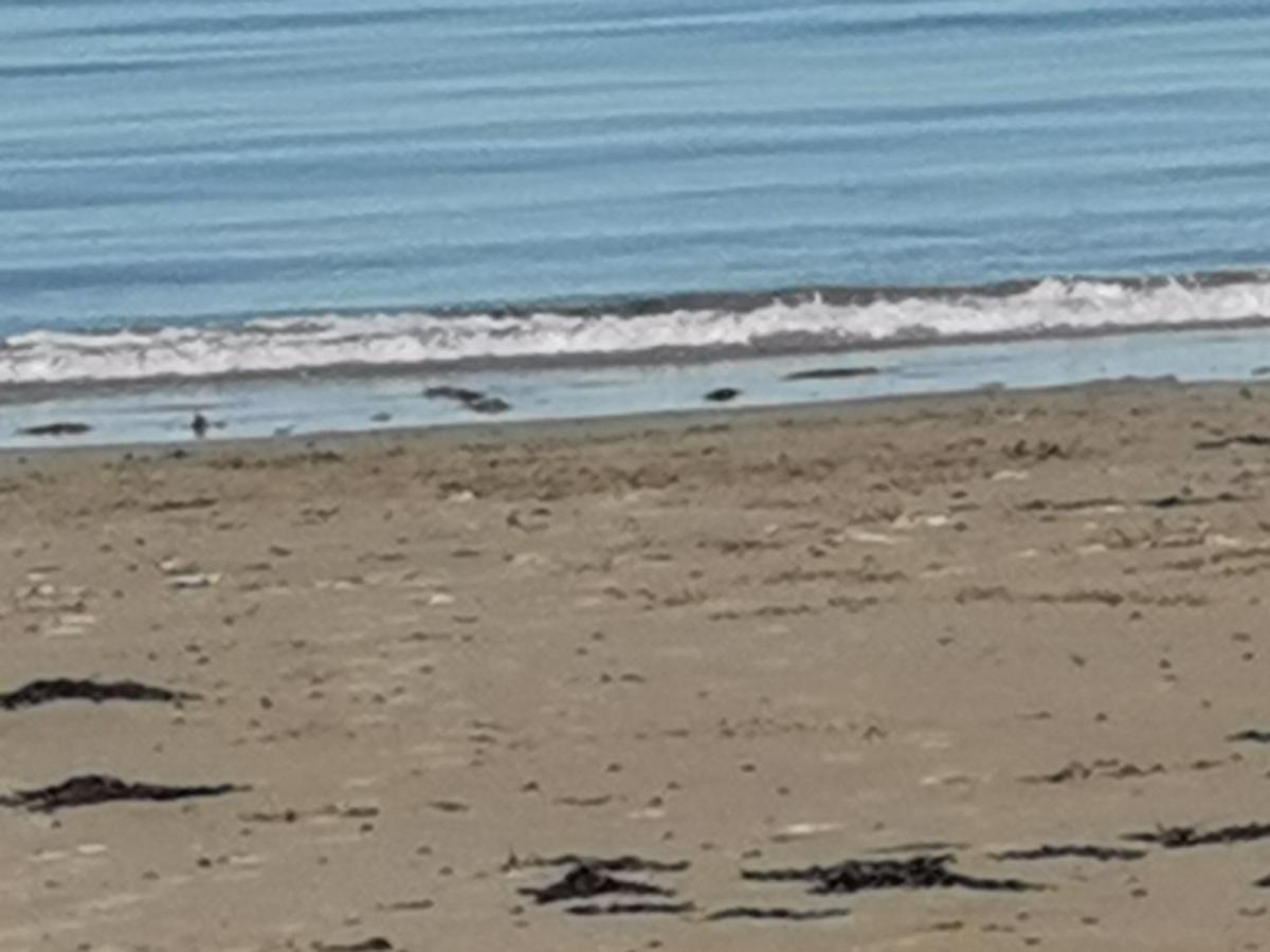 Snowdonia Sunbeach Holiday Sea And Mountain View Llwyngwril Buitenkant foto